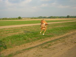 gal/Daisy/_thb_Daisy 38.jpg